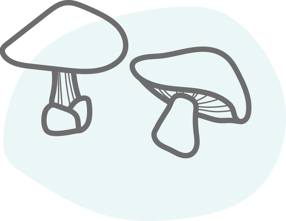 Olet terveytesi ja hyvinvointisi arvoinen